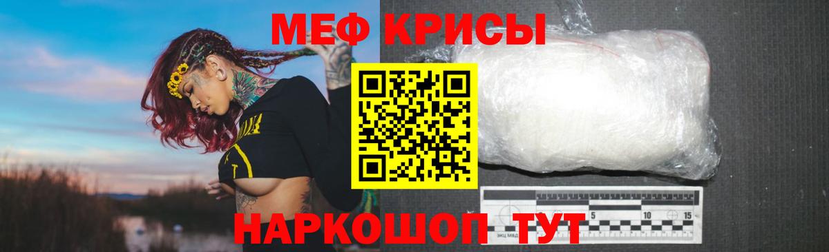 МЕФ  Киселёвск