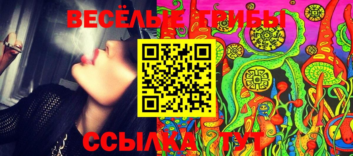 Галлюциногенные грибы мухоморы  Псилоцибиновые грибы мицелий  Вход с VPN  Киселёвск 
